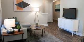 Estates at Vista Ridge Gallery 10