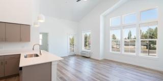 Red Hawk and Laurel Grey Gallery 10