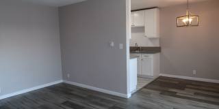 SHIRMAR 2 Gallery 8