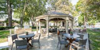 Nolia on the Hill Gallery 15