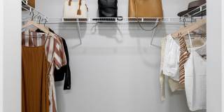 Maxwell Gallery 17