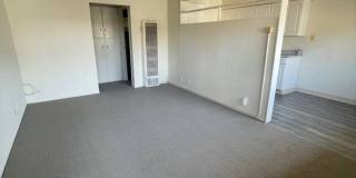 Pinehaven Gallery 6