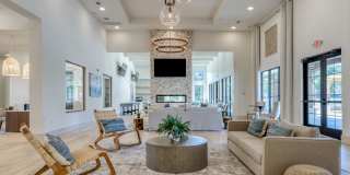 Tacara at Stone Oak Gallery 17