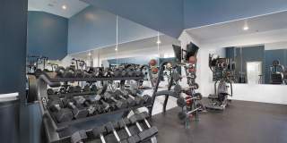 Alvera at The Meadows Gallery 7