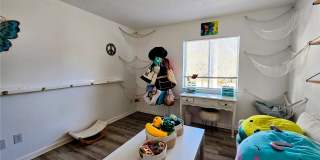 633 SILVER PASS Gallery 15