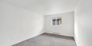 Finn Gallery 19