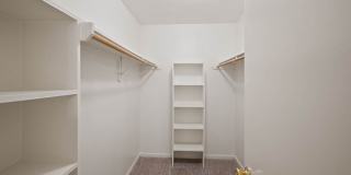 Timber Mill Gallery 17