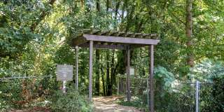 The Willows Apartments Gallery 27