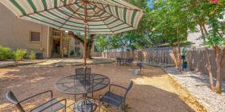 Bouldin Creek Gallery 43