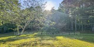 11084 Knotty Pine Pl Gallery 17