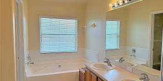 13129 THOROUGHBRED Loop Gallery 24