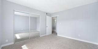 The Canopy Gallery 15