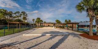 Sea Oats Sea Oats Gallery 32