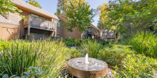 Old Orchard Apartments Gallery 33