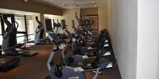 221 Vista Royale Circle W Gallery 34