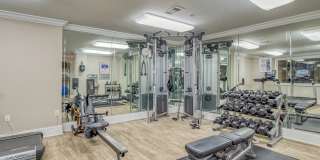 Windsor at Midtown Gallery 37