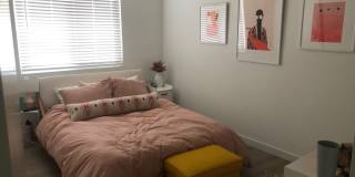 Val Anne Gallery 25