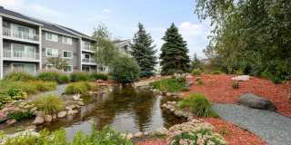 Maple Ridge Gallery 9