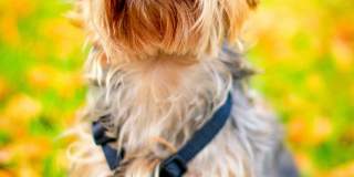 The Hawthorne Apartments Gallery 31