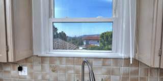 San Roque Charmer Gallery 8