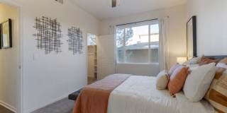 Echo Ridge Gallery 10