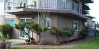 844 Mill Street #B-2 Gallery 1