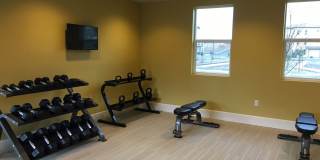 Pacific Landing Gallery 27