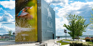 Iverson Towers Apartments & Anton House Apartments Gallery 26