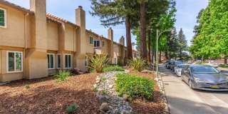 Southwood Townhomes Gallery 21