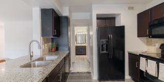 Elle Collection Gallery 2