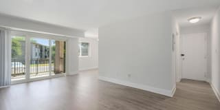 South Port Gallery 50