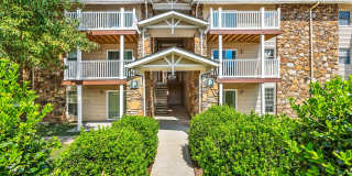 Ashford Place Gallery 6