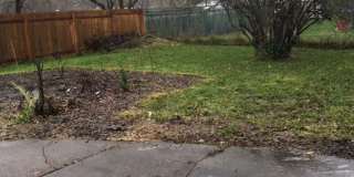 3+ Bdrm in Quiet Neighborhood w/Lots of Natural Light Gallery 17