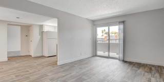 Sundance Village Gallery 55