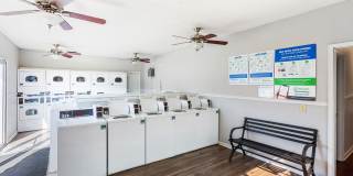 Ashford Place Gallery 20