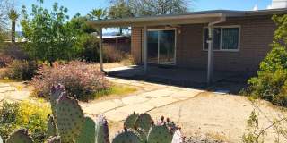 7800 N Nicole Place Gallery 40