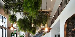 The Margot Gallery 63