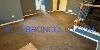 Spacious unit with Beautiful hardwood floors and nice touches throughout! Gallery 11