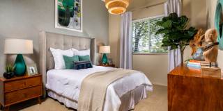 Allure Apartments Gallery 20