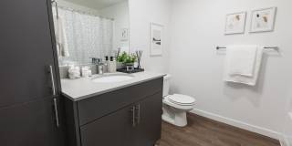 The CC Apartments Gallery 16