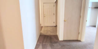 #330 AUTUMN CHASE Gallery 8