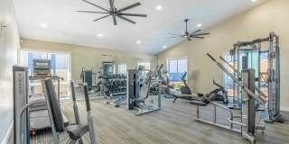 Rise Lakeside Gallery 89