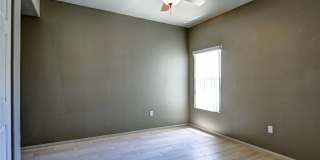 10809 Garden Mist Drive Gallery 14