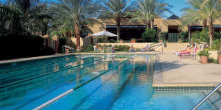 392 Desert Holly Drive Gallery 24