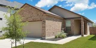 14906 Coral Snake Gallery 1