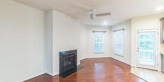 42385 TRELLIS Square Gallery 9