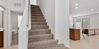 10034 Sir Atlas Court Gallery 12