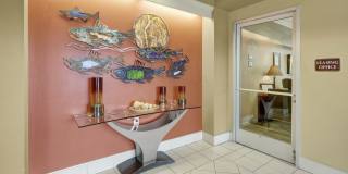 Park Plaza II Apartment Homes Gallery 14