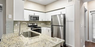 Stone Oak @ Parmer Gallery 31