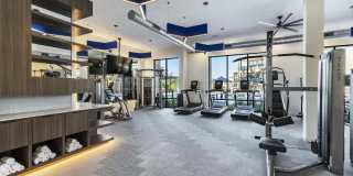 The Warner Gallery 16